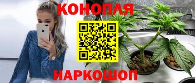 jwh Малгобек