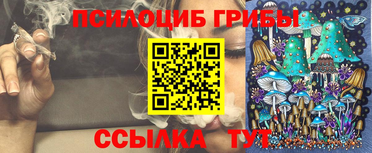 Галлюциногенные грибы Cubensis  Вход с VPN  Зеленодольск 